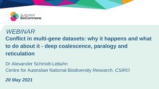 Conflict in multi-gene datasets: why it happens and what to do about it