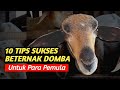 10 TIPS SUKSES BETERNAK DOMBA | @AGROTV9