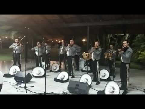 Mariachi Voz De Mi Tierra De Guadalajara Jalisco - YouTube