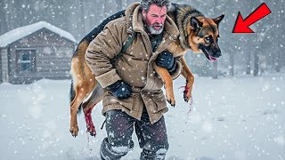 He walked miles with an injured and frozen German Shepherd – What happened in the end will shock you