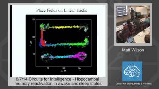 6/7/14 Circuits for Intelligence - Matt Wilson: Hippocampal Memory Reactivation