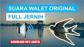 SUARA WALET ORIGINAL FULL JERNIH...