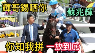 你知我拼(G343)  一放到底 (蘇兆輝) (姚本輝) 凱旋門頭馬相