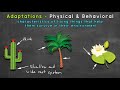 plant adaptations examples of plant adaptations ecosystems