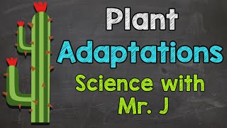 Plant Adaptations | Examples of Plant Adaptations | Ecosystems