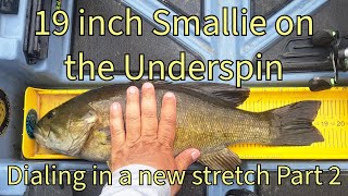 Dialing in a New Stretch Part 2 - 19 inch River Smallie