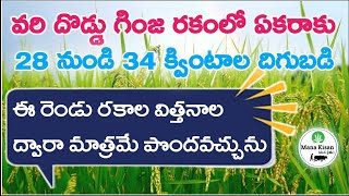 ఈ వరి రకంతో 28 నుండి 34 క్వింటాల దిగుబడి | Mana Kisan (మన రైతు)