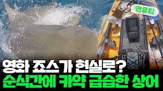 [지구촌톡톡] 영화 죠스가 현실로?…순식간에 카약 급습한 상어 外