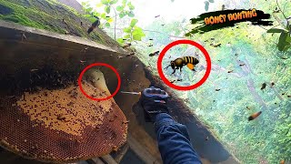 Honey hunting in jungle | গভীর জঙ্গলে ভূতুরে বাড়ীতে মৌমাছির মধু সংগ্রহ ।