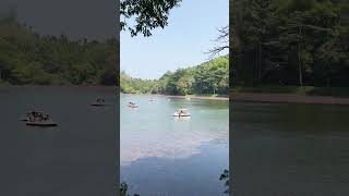 POOKODE LAKE WAYANAD | MUST VISIT PLACES IN WAYANAD | VYTHIRI WAYANAD |PLACES TO VISIT IN WAYANAD