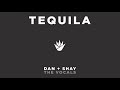 Dan + Shay - Tequila (The Vocals)