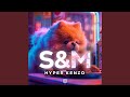 S & M (Techno Version)