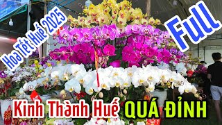 CHỢ HOA TẾT HUẾ 2025 TRƯỚC MẶT KINH THÀNH HUẾ (BẢN FULL MỚI NHẤT 22 TẾT)