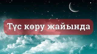 Түс жайында // Арман Қуанышбаев