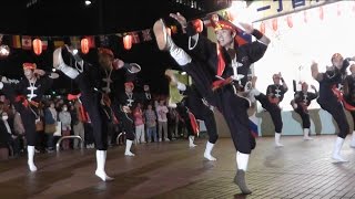 博多どんたく2017琉球國祭り太鼓　夜の部(full)