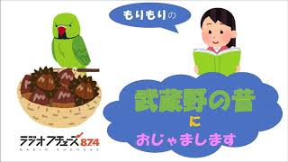 「もりもりの武蔵野の昔におじゃまします」第二十話「栗祭り」2020年10月13日