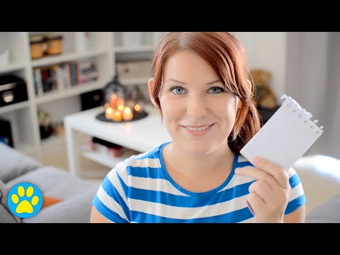 The Pros & Cons Of Keeping Hamsters The Pros & Cons Of Keeping Hamsters