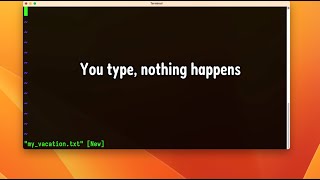 First VIM experience