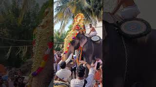 Kollengode Pulikkode Ayyappan Kavu Aarattu Thidambettam #trending #aarattu #ulsavam #pooram #aana