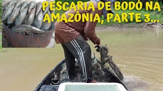 só vocês vendo pra acreditar quanto esse lago tem bodó/ pescaria de bodó no Amazonas