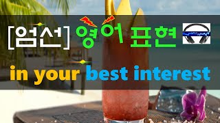 ▶ in your best interest ◀ 무슨 뜻?! 실제 원어민 발음은 어떨까? (+ 이 외 보너스 표현) l 귀가 트이는 영어ㅣ소리영어ㅣ영어 귀뚫기ㅣ미드 자막없이 보기