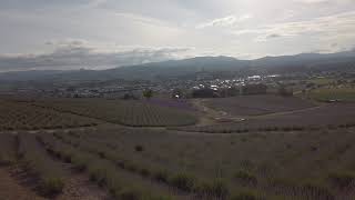 【上富良野 北海道観光】日の出公園 ラベンダーの景色が美しい Kamifurano Hokkaido Sightseeing Hinode Park Beautiful view of lavende