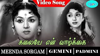 Meenda Sorgam movie songs | Kalaiyae En Vazhkaiyin video song | Gemini Ganesan | Padmini