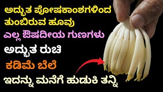 ಮಾರ್ಕೆಟ್ ನಲ್ಲಿ ಕಡಿಮೆ ಬೆಲೆಗೆ ಸಿಗುವ ಈ ಹೂವು ಆದರೆ ಹೆಚ್ಚು ರುಚಿ ಪೋಷಕಾಂಶ ಡಯಾಬಿಟಿಸ್ ಕಿಡ್ನಿ ಸ್ಟೋನ್ ಗೆ ರಾಮಬಾಣ