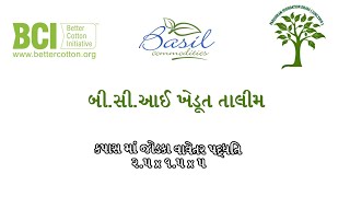 કપાસ ની સાંકડા ગાળે વાવેતર પદ્ધતિ - વિડિઓ ૨