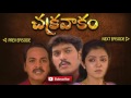 episode 110 chakravakam telugu daily serial