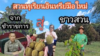 สวนทุเรียนภูเขาไฟ มือใหม่ 3ปีติดดอกผล