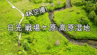 【４K】奥日光 戦場ヶ原 約1400mの高層湿原(7月)   (Mavic Air2)