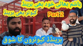 hashim bhai ke branded kabootaro ka shoq 😍🏆🕊️@hashimmahmoodpigeons @KhokharPigeonsClub