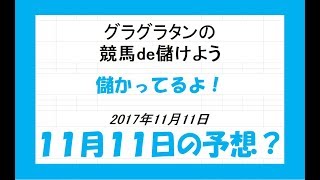 グラグラタンの競馬予想？！　１１月１１日（土）分