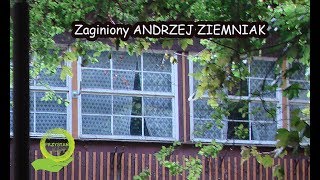 APOKALIPSA ZAUFANIA  - zaginiony Andrzej Ziemniak