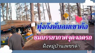 จุดจอดรถทุ่งกังหันลมเขาค้อ จ.เพชรบูรณ์