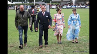 Nationaal tuigpaardenconcours te Norg groot succes FOTO's