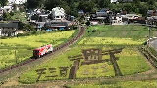 田んぼアートと明知鉄道