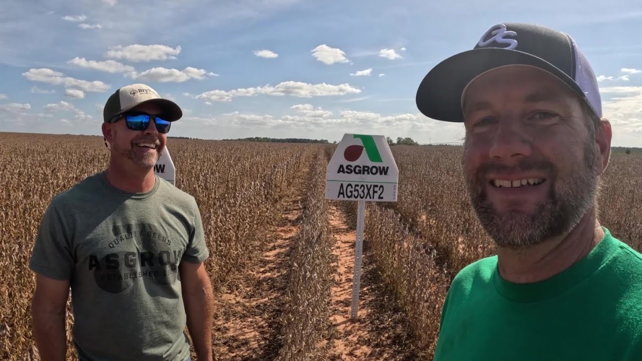 The Secrets To Massive Soybean Yields Part 1 Youtube