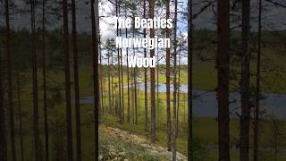 The Beatles Norwegian Wood #shorts  #love #music #song