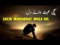 Sachi Mohabbat Wale Dil | Beautiful Spiritual Quotes | Listen the Islam Q.K