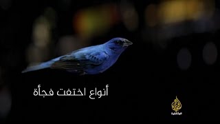 التغريدة الأخيرة (برومو) كل جمعة 23KSA