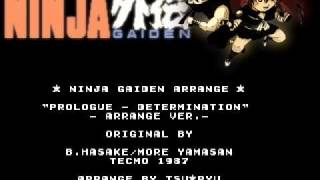 Tsu Ryu - Ninja Gaiden - Prologue Part 1 and 2 (Arrange Ver.)