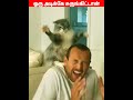 😂🐕அடி பிச்சுப்புடுவேன்🐈‍⬛😂 viral trending shorts cutecat funnyanimalvideos