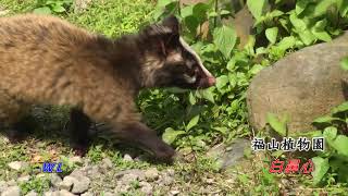 福山植物園 珍稀動物