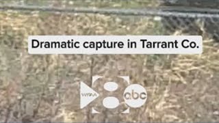 Dramatic Capture Of An Escaped Inmate In Tarrant County