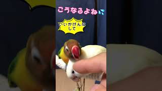 【カキカキタイム】カキカキに参加してみたら……そうなるよね！