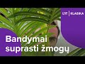 bandymai suprasti žmogų. Žmogus ir monstras ką daryti su nusikaltusiu kūrėju