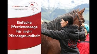 🤗🐎 Einfache Pferdemassage für mehr Pferdegesundheit 🙌