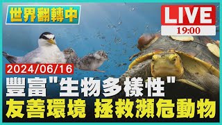 【1900世界翻轉中】豐富「生物多樣性」 友善環境 拯救瀕危動物